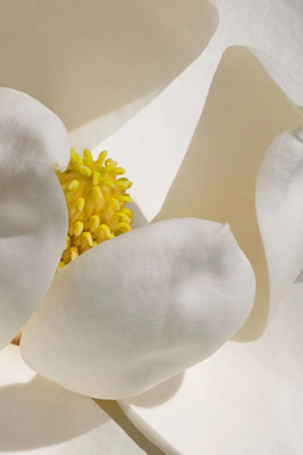 Bloom Sconce - Image 7