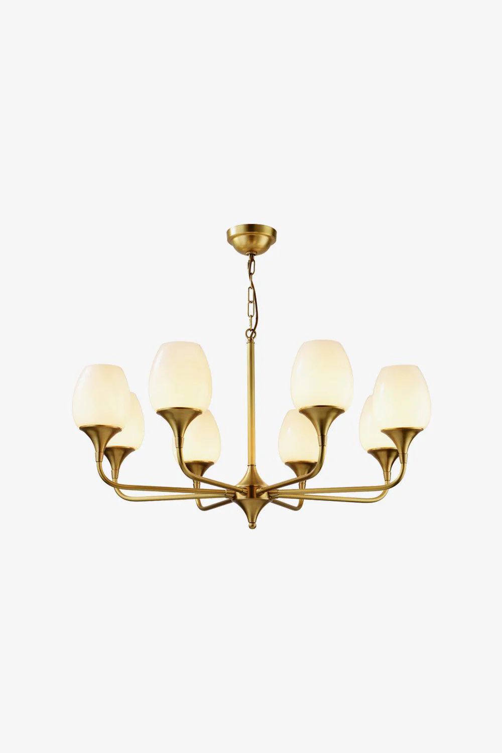 Brass Charlie Chandelier - Image 15