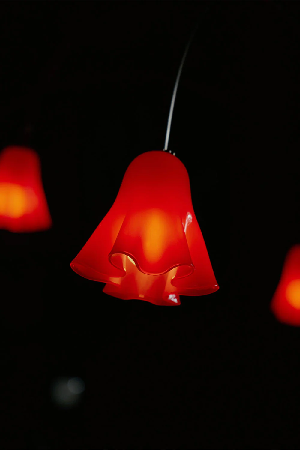 Flora Tulip Series Chandelier - Image 15