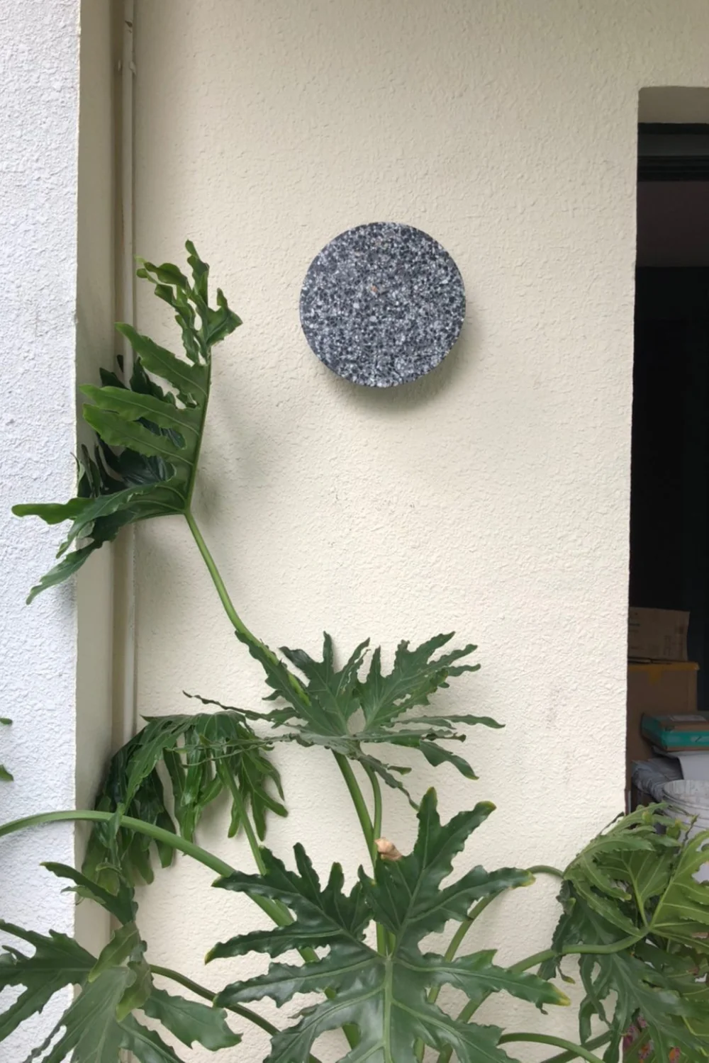 Pin Wall Lamp - Image 25