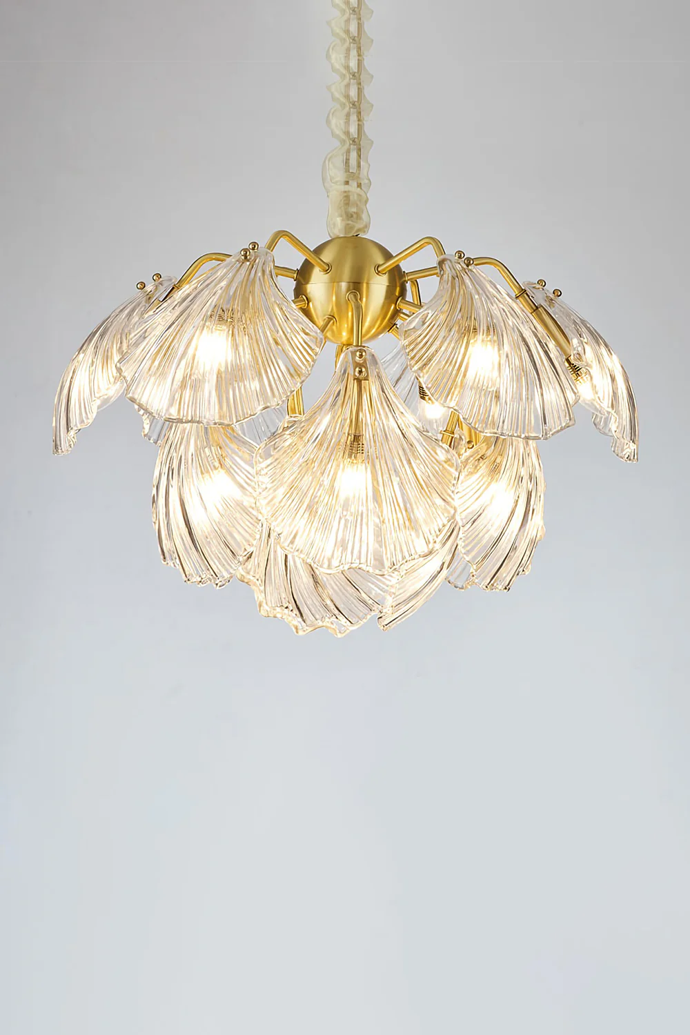 Ribbed Shell Chandelier - Image 19