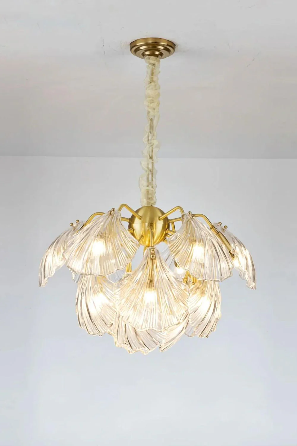 Ribbed Shell Chandelier - Image 22