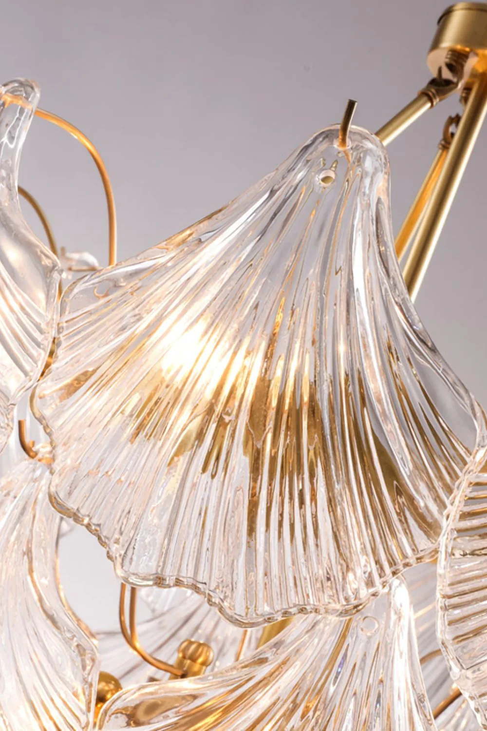 Scallop Shaped Chandelier - Image 16