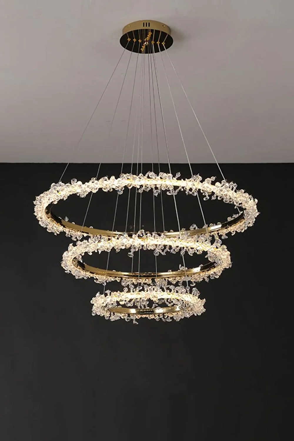 Spiridon Crystal Chandelier - Image 19