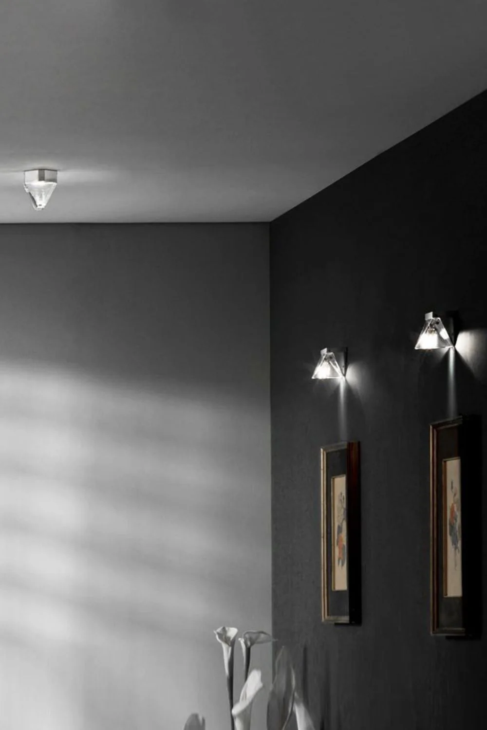 Tripla Ceiling light - Image 4